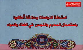 استحالة النجاسات وعلاقة أحكامها باستعمال المحرم والنجس في الغذاء والدو