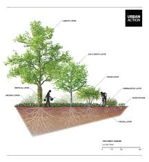 Permaculture Forest Garden Design By Urban Action Permaculture Urbanaction Food Forest Garden Forest Garden Urban Garden