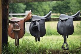 Résultat de recherche d'images pour "équitation"