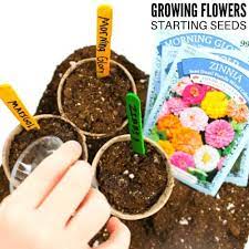 Here are seven of my favorite reasons to grow sunflowers. Easy Flowers To Grow This Spring Little Bins For Little Hands