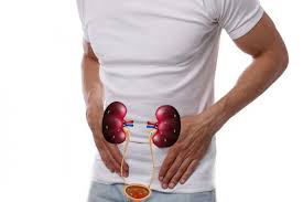 Infectia Urinara La Barbati Simptome Cauze Tratament