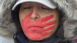 Much of Halifax becomes no-fly zone for recreational drones