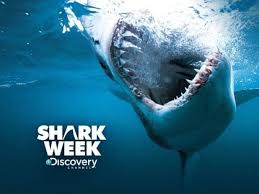 Shark week 2019 is upon us! After 9 Shark Week Special 2017 Youth Ministry Booster