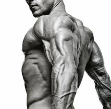 I M Not Sure I Want The Veins But The Definition Is Target Hiit Cardio Workouts Hiit Cardio Fitness Inspiration