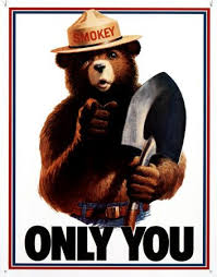 Only You Can Prevent Forest Fires Smokey The Bears Bear Bear Signs
