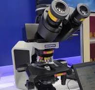 Microscopio monocular OEM ODM, microscopio binocular de ...