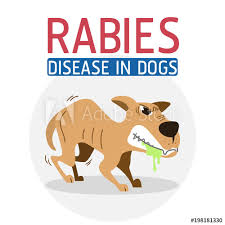 Trollflaggermusen blir ofte nevnt i tilfeller der mennesker blir smittet med rabies. Rabies Disease In Dogs Set 1 Buy This Stock Vector And Explore Similar Vectors At Adobe Stock Adobe Stock