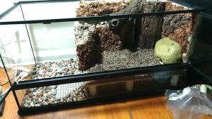 Voir plus d'idées sur le thème paludarium, terrarium, vivarium. First Vivarium Paludarium A Few Touchups Needed Before Planting Vivarium