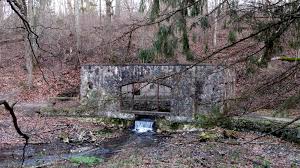 Check spelling or type a new query. The Park Next Door Paradise Springs Nature Trail Eagle Wi The Park Next Door