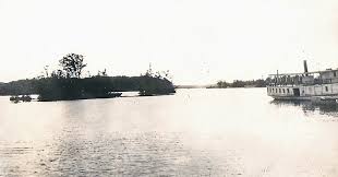 Image result for Lintonia