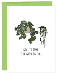 Consider a tree for a moment. Money Plant Joke