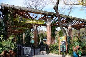 We did not find results for: Visit The Central Park Zoo In New York