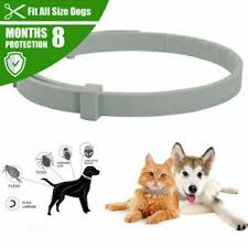 Details About Anti Insect Flea And Tick Collar 8 Month Protection Adjustable For Pet Dog Cat