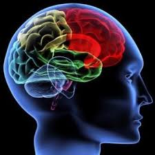 Mental control it allows children the opportunity to rest their brain by diverting their mind with physical postures or. Brain Yoga Wholesome Resources