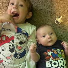 Are there support groups for dogs that steal things?