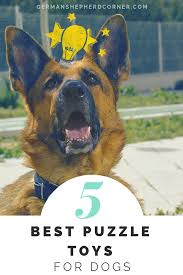 German shepherd warning small puzzle. Best Puzzle Toy For Dogs You Must Have