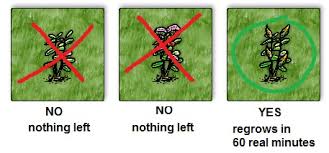 Today countries around the world start celebrating world breastfeeding week,. Tips And Info With Images Main Forum One Hour One Life Forums