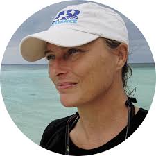 8 Best Places for Shark Encounters