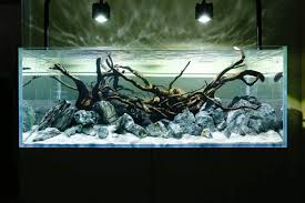 Awesome Hardscape By Theaquascaper Aquascape Aquarium Cichlid Aquarium Aquarium Driftwood Nature Aquarium