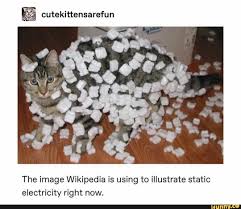 The Image Wikipedia Is Using To Illustrate Static Electricity Right Now Ifunny Static Electricity Electricity Cat Gif