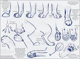 13 hind feet front feet goose frogs geese tracks in snow studyworks! How I Draw Paws Tutorial Redo Part1 Feline By Ninjakato On Deviantart Paw Drawing Cat Drawing Tutorial Animal Drawings