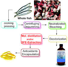 By definition, raw garden's product is not distillate. Upgrading Of Marine Fish And Crustaceans Biowaste For High Added Value Molecules And Bio Nano Materials Chemical Society Reviews Rsc Publishing Doi 10 1039 C9cs00653b