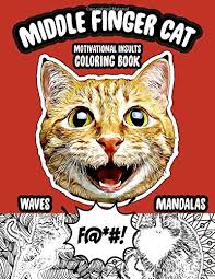 Middle Finger Cat Motivational Insults Coloring Book Waves Mandalas Adults Sweary Words Coloring Book Volume For Adults 50 Pages 8 5x11 With Calm Words Swear Kitty Soft 9798651530342 Amazon Com Books