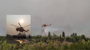Πλακωτάρη βασιλική γ., άγιος δημήτριος αττικησ : Mqnfgqmgq4onhm