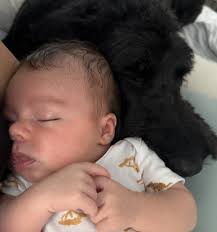 Shawn Chambliss (@scchambliss) • Instagram photos and videos