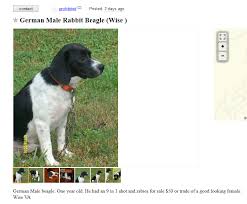 Checking 'include nearby areas' will expand your search. Craigslist Dogs 2 More Dogs For Trade Puppy Leaks