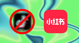 Why U.S. Users Are Flocking to China's Xiaohongshu (RedNote ...