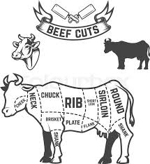 Beef Cuts Butcher Diagram Cow Stock Vector Colourbox
