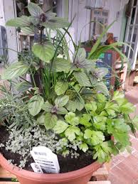 Herb garden flowers help save space and substantially beautify any balcony, home, or public area in which they are placed. Herb Garden Kit We Are Delivering Gardening To You In Severn Md Willow Oak Flower Herb Farm