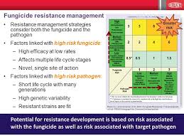 dupont zorvec enicade fungicide ppt video online download