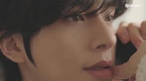 Our Aussie boy, Jake