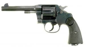 Image result for Grace Silver 1990 Colt