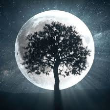 After becoming full moon mitsuki runs away form home. What Are Full Moon Rituals How To Create A Full Moon Ritual To Improve Your Year