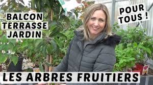 Jardiquiz plante le décor ! Du Balcon Au Jardin Des Arbres Fruitiers Pour Tous Avec Les Pepinieres Poullain Youtube