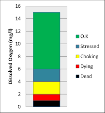 Aquatic life, such as fish or amphibians, require a certain minimum level of dissolved oxygen to survive. Dissolved Oxygen Level And The Response Of Aquatic Life Forms Adapted Download Scientific Diagram