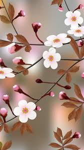 ✓ gratuiti a scopo commerciale ✓ immagini di alta qualità. Pin Di Mona Cherry Su Bom Dia Bellissimi Sfondi Sfondi Carini Sfondi Iphone