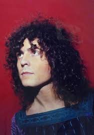 64 Mark Bolin T Rex ideas to save today