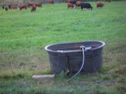 Design for large mobs of cattle, ideal for dairy. Bulletin 7129 Watering Systems For Livestock Cooperative Extension Publications University Of Maine Cooperative Extension