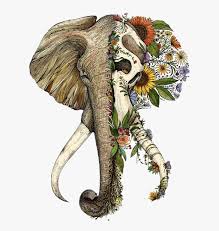 Tattoo artist kalaca skull had extreme surgery to make his face look like a skull. Elephant Half Skull Tattoo Hd Png Download Kindpng