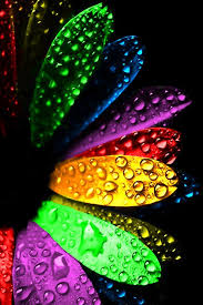 Cool Backrounds To Use For The Home Screen Cool Color Splash White Photography Water Droplets