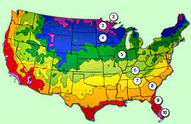 Pin By Whitney Wooters On Backyard Botanicals Scott Lawn Care Gardening Zones Scotts Lawn