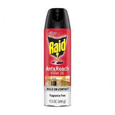 Raid Fragrance Free Ant And Roach Killer Spray 17 5oz 1ct Target