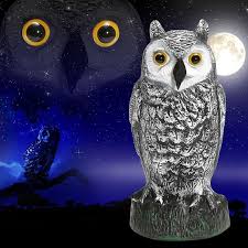 Protect your garden, plants, flowers. Fake Owl Decoy Hunting Deterrent Bird Cat Crow Scarer Repeller For Garden Tb Sale Repellents Aliexpress