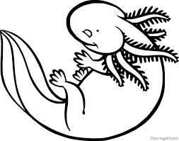 Can be used for digital or print. Easy Axolotl Coloring Page Coloringall