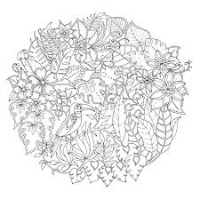 Praise for johanna basford's coloring books the colorists have a queen, and her name is johanna basford. the paper is close to card stock, they are paperback but do have dust jackets and the coloring pages are each worth the time to make your kind of perfect. Amazon Com Magical Jungle 9780753557167 Johanna Basford Books