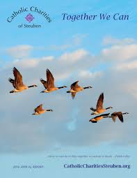 CC Steuben 2016 Annual Report by Paula Smith